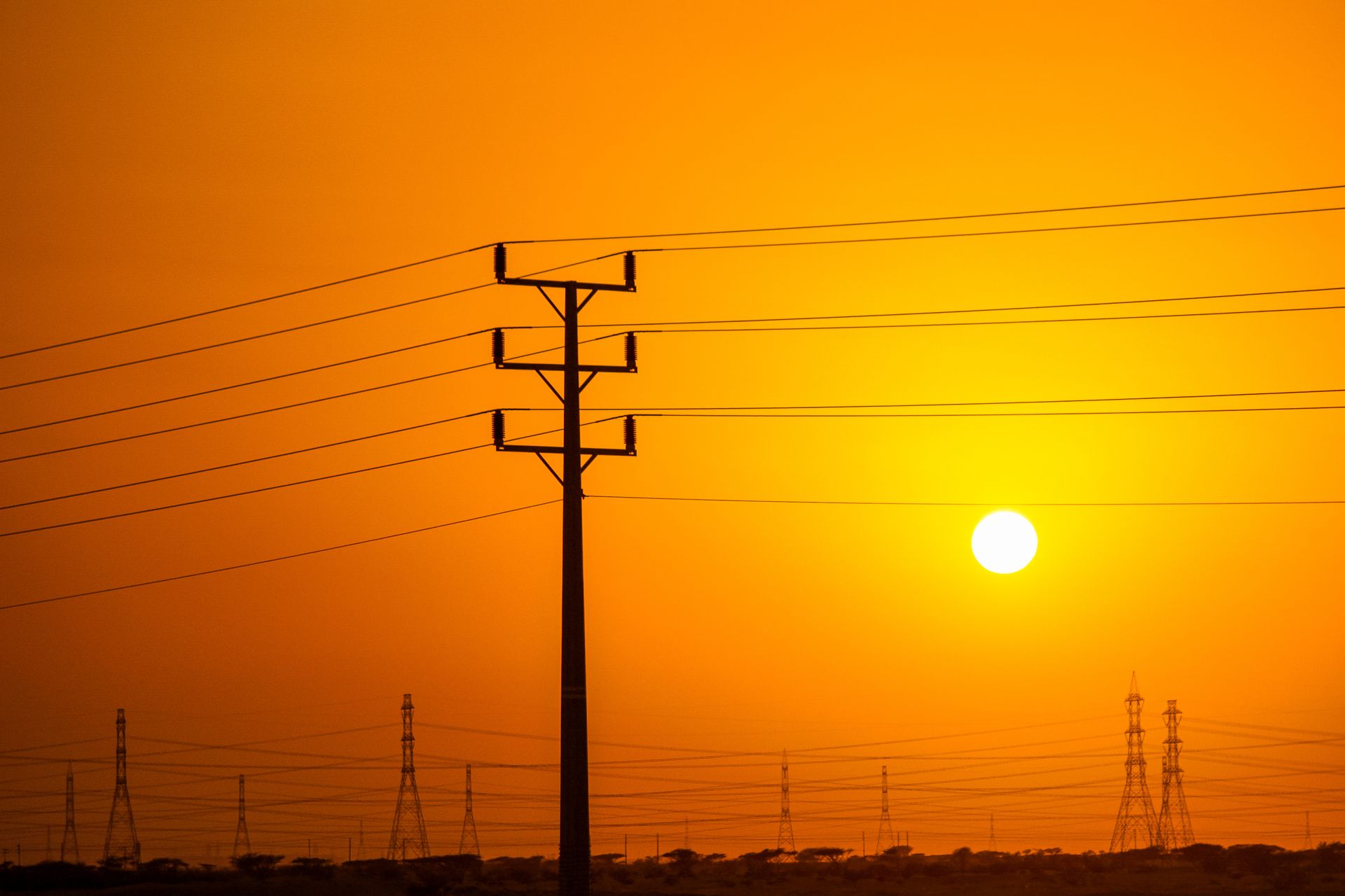 Power grid at sunset